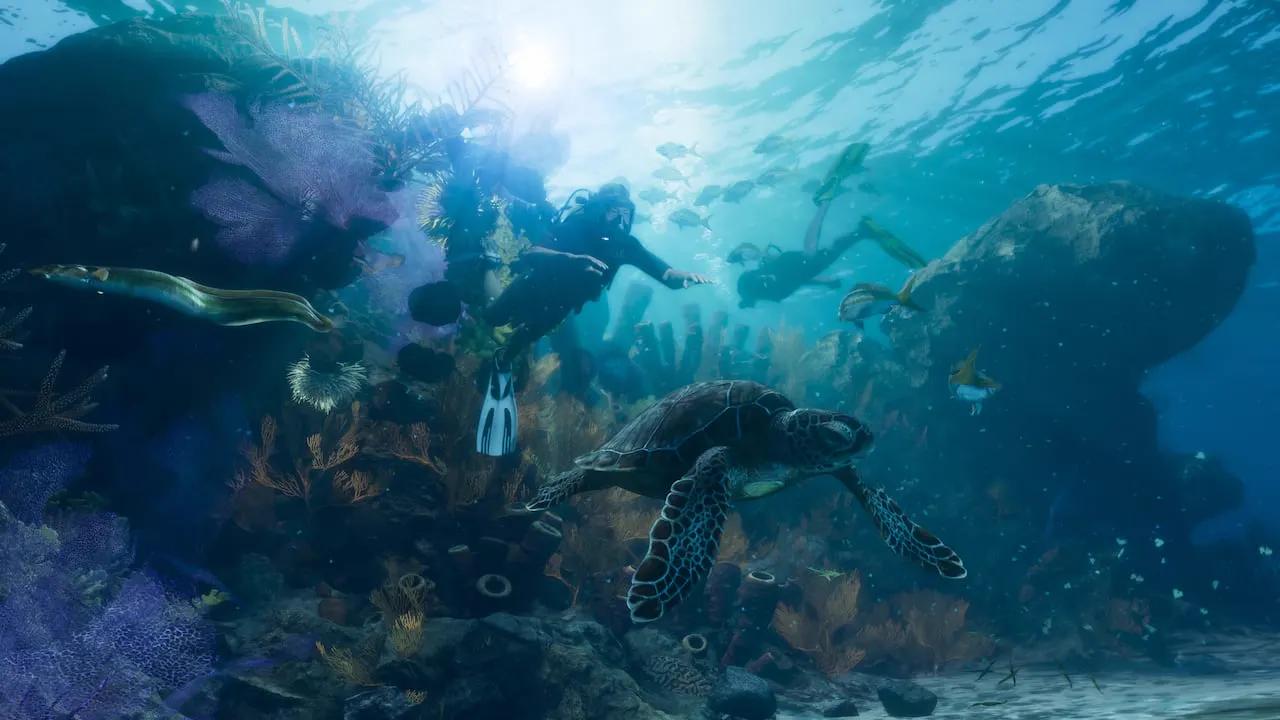 Dos buzos nadan bajo el agua en los Cayos de Leonida rodeados de vida acuática, como corales, peces, una anguila y una tortuga marina.